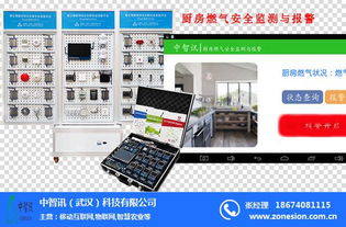 中智訊武漢科技 以多網(wǎng)融合驅(qū)動(dòng)物聯(lián)網(wǎng)技術(shù)研發(fā)新未來(lái)